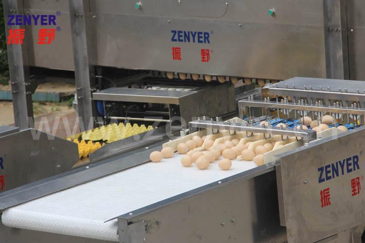深圳振野研发2000025000枚大型鸡蛋喷码分级自动发托装托包装机智能化